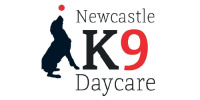 Newcastle K9 Daycare (NORTHUMBERLAND FOOTBALL LEAGUES)