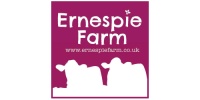 Ernespie Farm Centre (Dumfries & Galloway Youth Football Development Association)