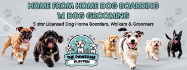 The Pawsome Playpen