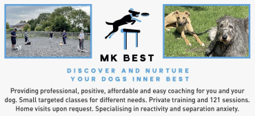 MK BEST Dog Training