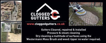 Clogged Gutters