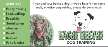 Eager Beever Dog Training