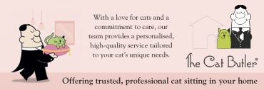 The Cat Butler - Chesham