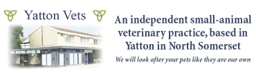 Yatton Vets